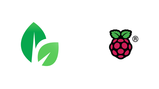 cultivar chia con una Raspberry Pi