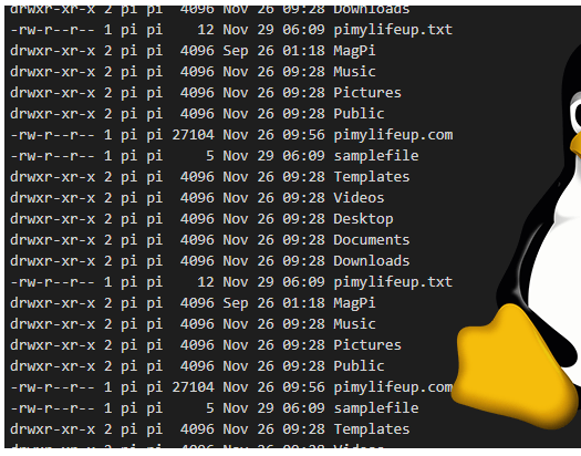 fundamentos de los permisos de archivo en Linux